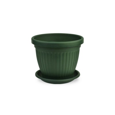 ZELENA